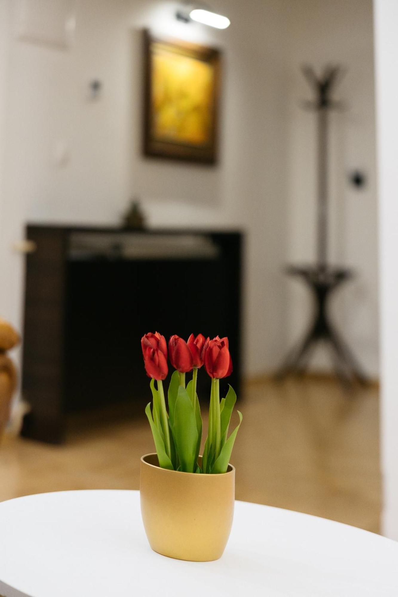 Hotel Gradche Кочани Екстер'єр фото